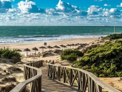 Playa de Sancti Petri, Surga Tersembunyi di Pesisir Andalusia