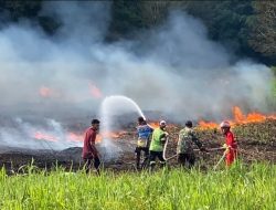 Palangka Raya Catat 150 Kazejadian Karhutla, Pemkot Waspada Bencana Susulan Imbas Cuaca Panas