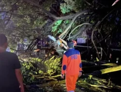 Hujan Disertai Angin Puting Beliung di Lamongan Buat Pohon Tumbang Hingga Bangunan Rusak