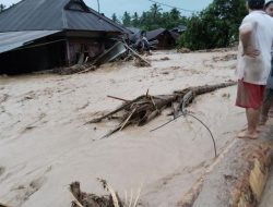 Repons Bupati Tapsel Soal Banjir Bandang di Batangtoru Akui Garoga dan Huta Godang Desa Terparah