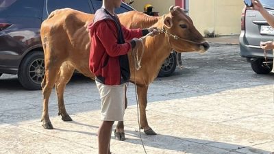 Respons Keluhan Peternak