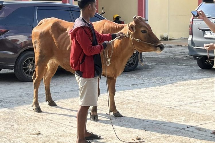 Respons Keluhan Peternak