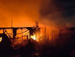 Kebakaran Hebat Melanda Peternakan Ayam di Ciseeng Bogor